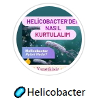 helicobakteri-baslik